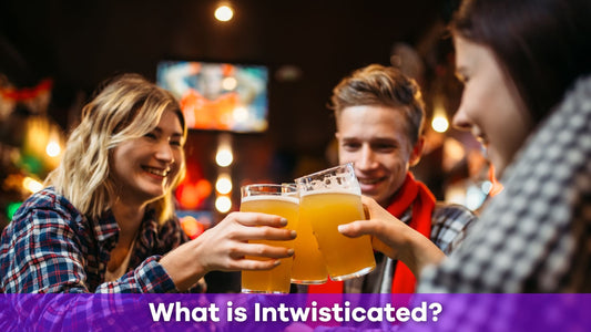Intwisticated: The Ultimate Guide to the Hilarious Adult Party Game