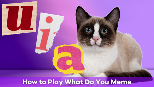 What Do You Meme? How to Play the Meme Card Game That's Fun for All Ages
